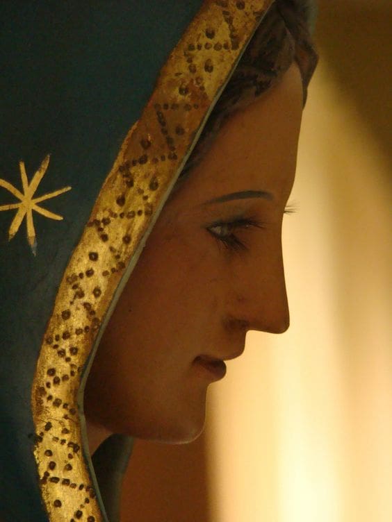 Milagros de la virgen de Guadalupe