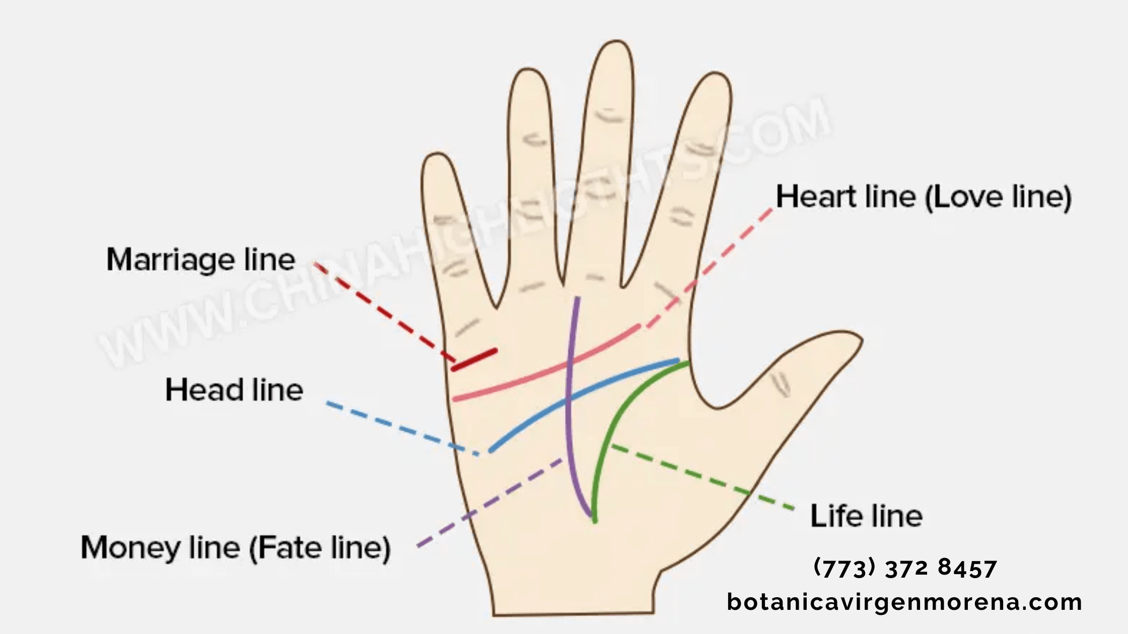 Lectura de la palma de la mano