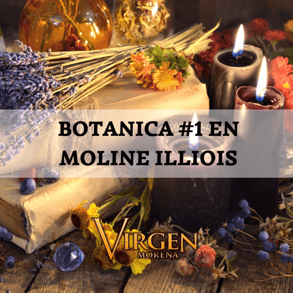 botanica-1-en-moline-illinois-3