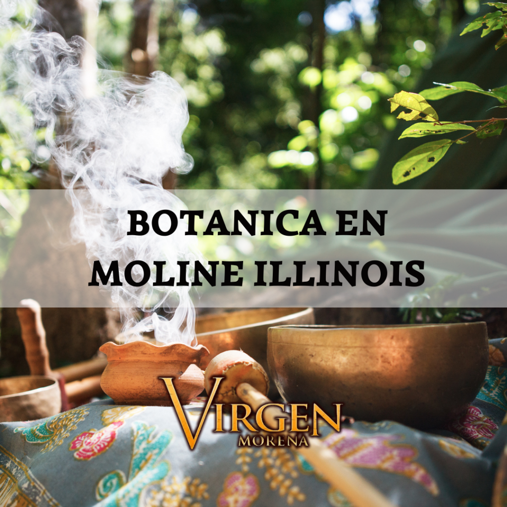 Botanica en Molien Illinois