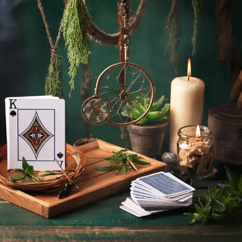 lectura de cartas stone park il botanica virgen morena webp