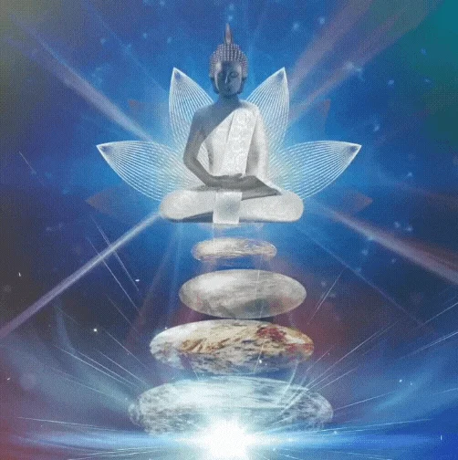 abre caminos chicago