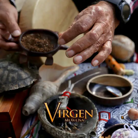 lectura de cartas houston tx botanica virgen morena webp
