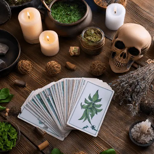 amarres de amor nueva york ny botanica virgen morena webp