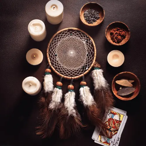 botanica addison il botanica virgen morena webp