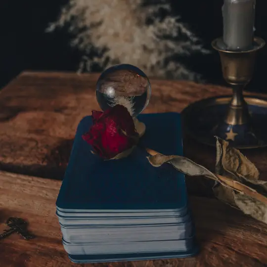 amarres de amor elgin il botanica virgen morena webp