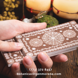 amarres de amor gary, in in botanica virgen morena png